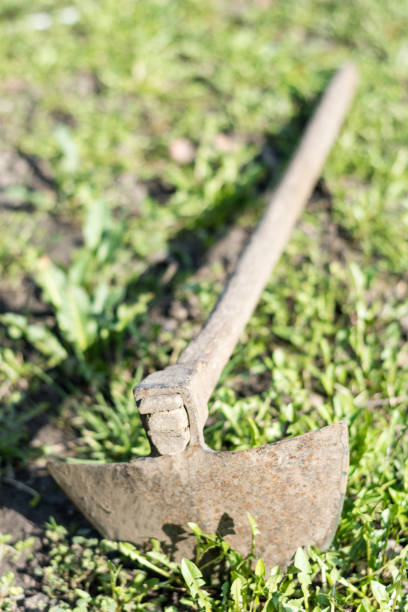 istock Old hoe on the grass and weeds 1220947878