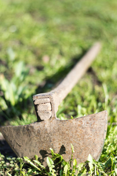 istock Old hoe on the grass and weeds 1220947948
