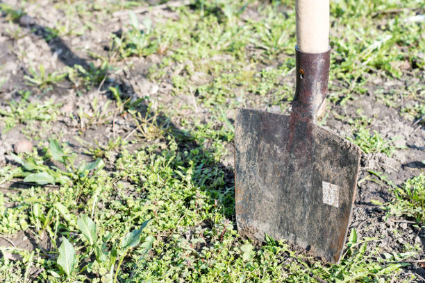 istock Stabbed shovel into the ground 1220948182