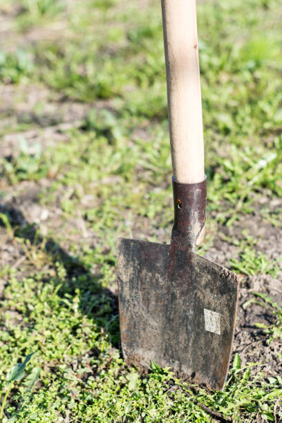 istock Stabbed shovel into the ground 1220948187