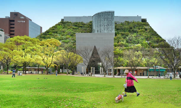 Yokohama, Kanagawa, Japan - May 18, 2025: The historic Yokohama Red Brick Warehouse (Aka Renga Soko) stands prominently under an overcast sky, surrounded by green lawns and trees, with visitors visible enjoying the outdoor space.