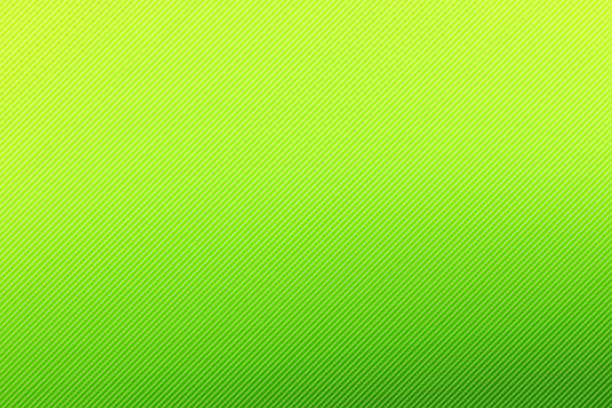 Illustration abstract image of beautiful freshness summer green environment and sun light color blending background with white soft strips of parallel lines.