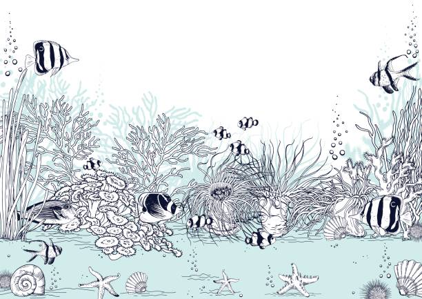 ilustrações, clipart, desenhos animados e ícones de paisagem subaquática com corais, anêmonas do mar e peixes tropicais. - tropical fish clown fish isolated animal