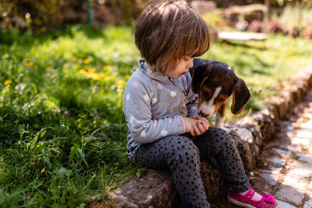 istock They both enjoying sunny day in their backyard together 1220966794
