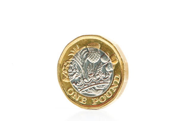 New one pound coin New one pound coin isolated one pound coin stock pictures, royalty-free photos & images