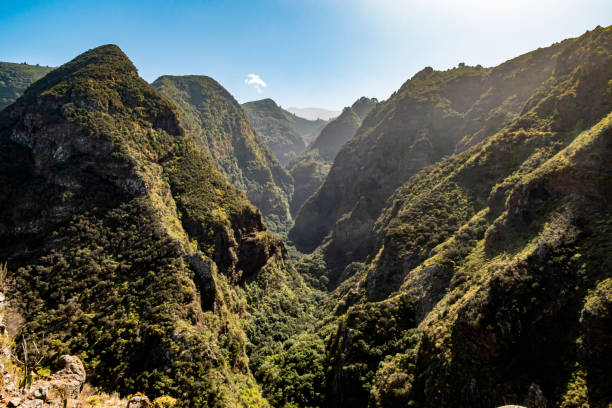 ravine on La Palma, Canary Islands, Spain stock photo