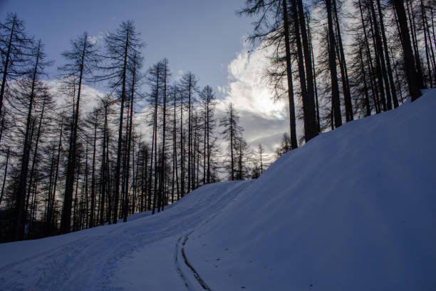 ski alp trip to Argentera in Valle Stura in the closed lifts