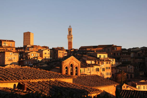 istock Medieval Siena at summer sunset 1220975119