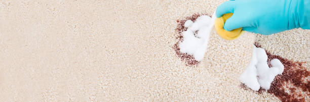 istock Person Cleaning Carpet With Sponge 1220975463