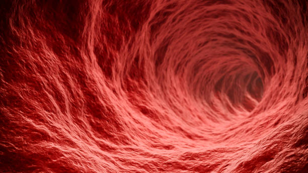 Inside of human body conceptual render Concept render of blood vessel with nothing inside, realistic human tissue. inside of an organ,   realistic render illustration for copy space tissue anatomy stock pictures, royalty-free photos & images