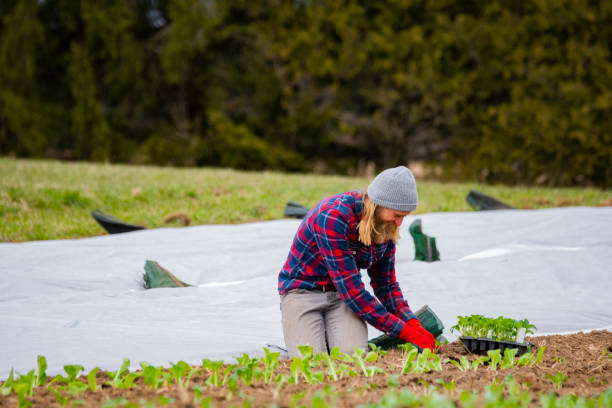 istock A male farmer planting crops on a small scale Community Shared Agriculture project 1220981032