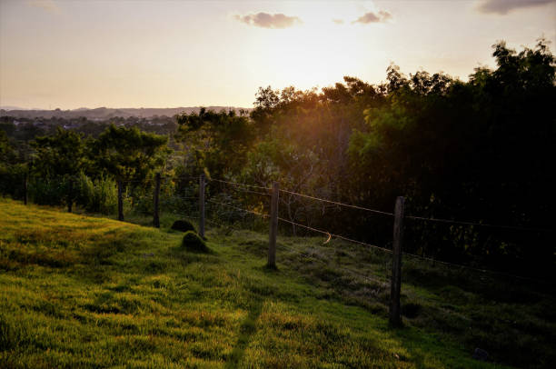 istock Sunset in the field in late afternoon 1220981724