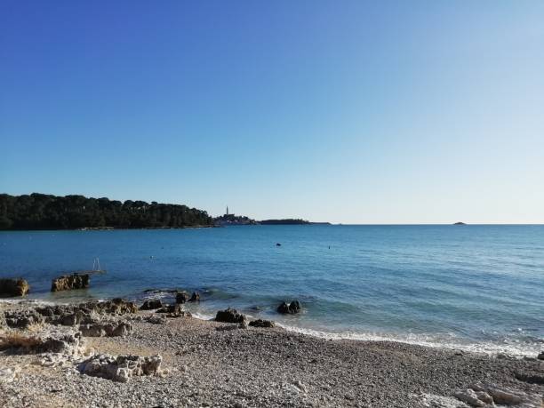 istock Rovinj Beach Valdaliso Croatia 1220981802
