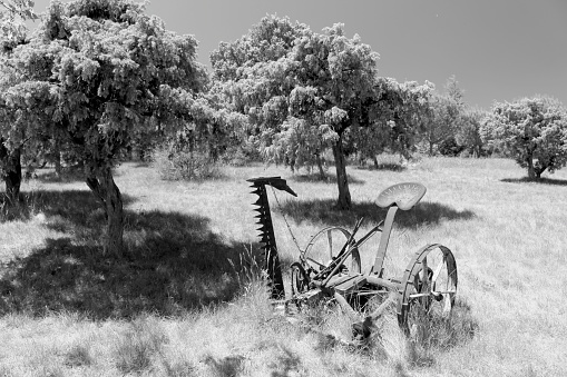 Old mower in the field