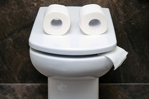 Toilet bowl with two rolls of paper similar to eyes or glasses. Funny concept of running out of toilet paper