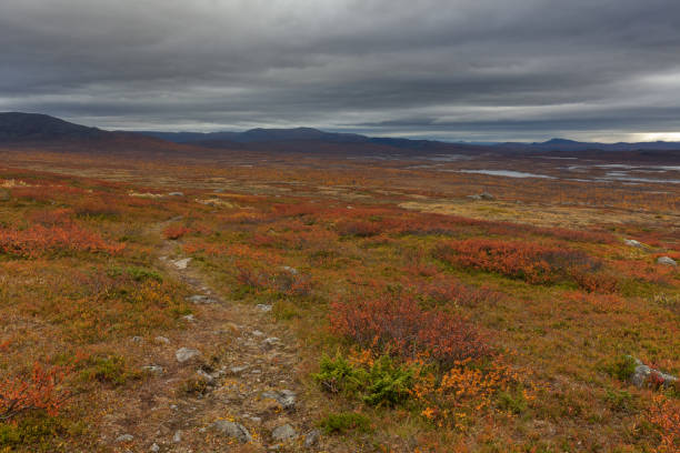 istock Sarek National Park in Lapland from the sky, selective focus 1220984684