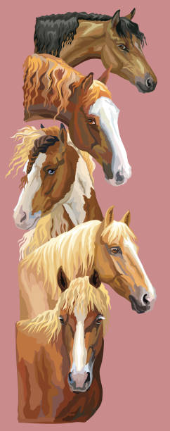 bildbanksillustrationer, clip art samt tecknat material och ikoner med vykort med hästar 4 - horse skäck