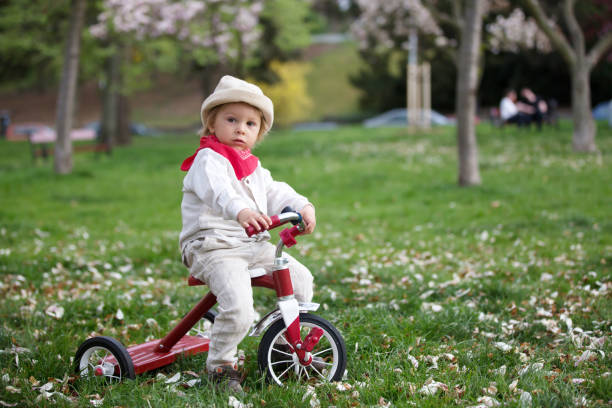 istock Child, boy in spring park with blooming magnolia trees 1220985491