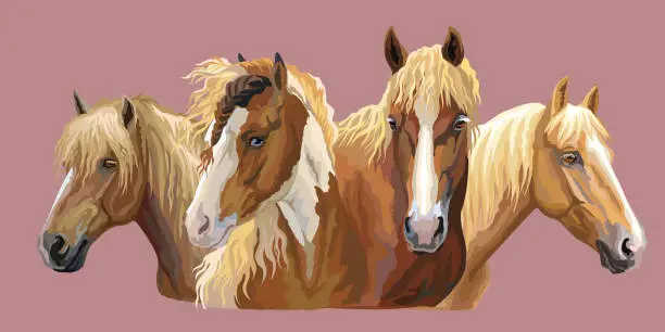 Vector illustration of Set of horses breeds 6