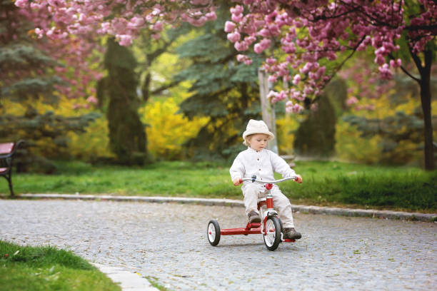 istock Child, boy in spring park with blooming magnolia trees 1220985515