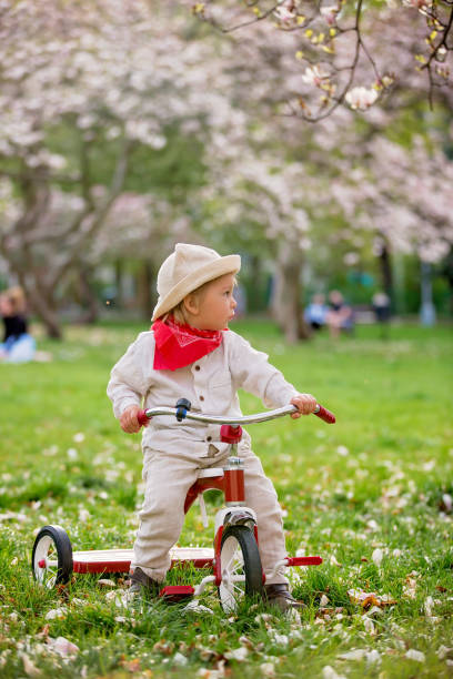 istock Child, boy in spring park with blooming magnolia trees 1220986508