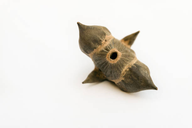 Water chestnut. Floating flyer or floating dumn nut chilim on white surface. Limited depth of field.