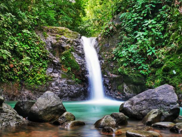 bellissima cascata in costa rica con esposizione di lunga durata - longtime foto e immagini stock