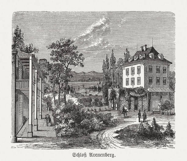 замок арененберг, тургау, швейцария, гравюра на дереве, опубликованная в 1893 году - thurgau stock illustrations