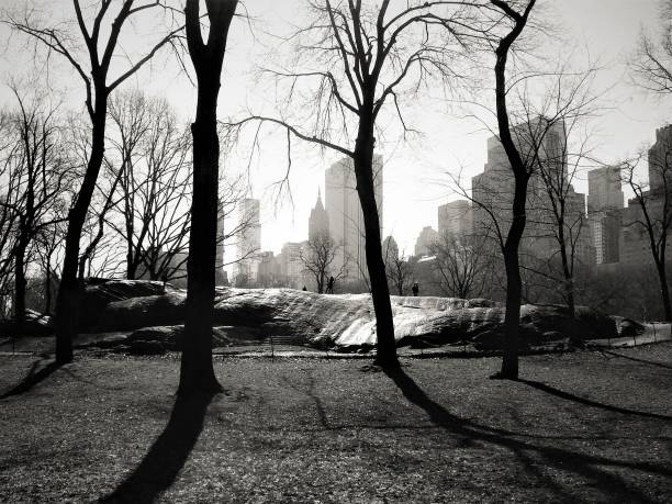 istock New York Central Park in black and white 1220993338