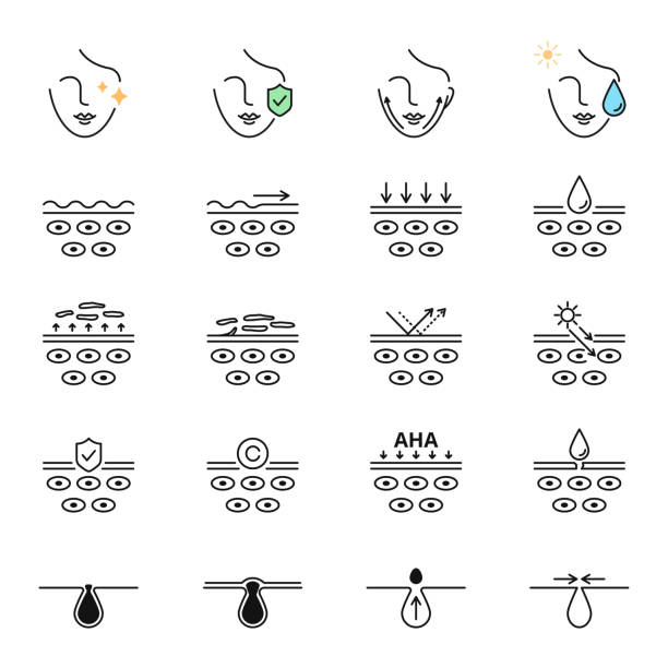 pielęgnacja skóry, zabiegi kosmetyczne, warstwy skóry, pory wektor ikony zestaw - consumption level stock illustrations