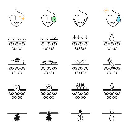 Skin care, beauty treatment, skin layers, pores vector icons set