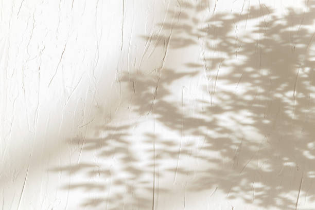 fundo de verão de uma árvore de sombras em uma parede branca. branco e preto por sobrepor uma foto ou maquete - sunlight dappled summer leaf - fotografias e filmes do acervo