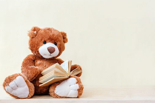 stuffed toy Teddy bear reading an interesting book, showing that even read toys. the concept of baby learning