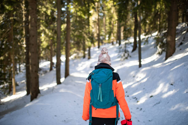 istock A walk through the woods in winter 1220996917