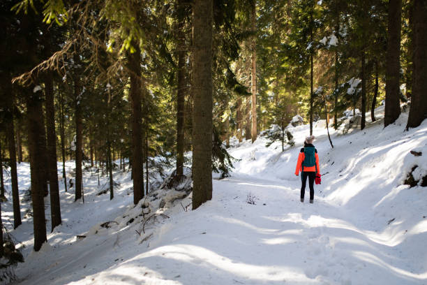 istock A female hiker in a forest 1220996923