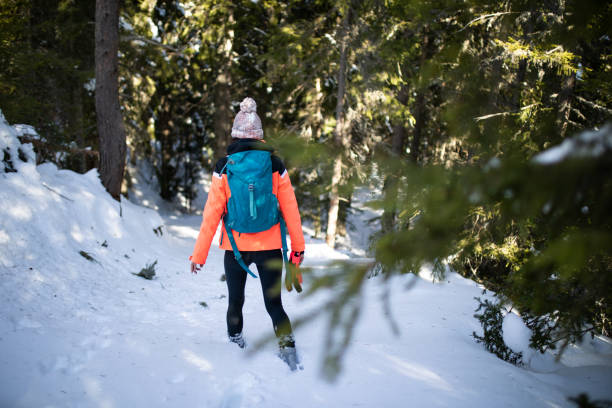 istock A young woman trekking though snowy forest 1220996986
