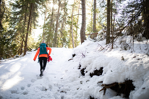 A young woman in hiking equipment is hiking up a snowy slope in the woods