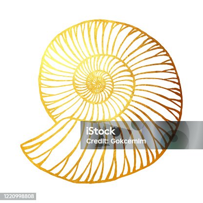 istock Gold Nautilus Isolated. Hand Painted Clip Art Design Element for Labels, Business Cards, Flyers. 1220998808