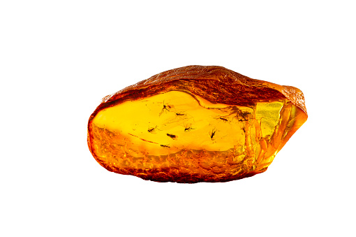 A magnificent piece of Baltic amber with prehistoric flies and insects inside
