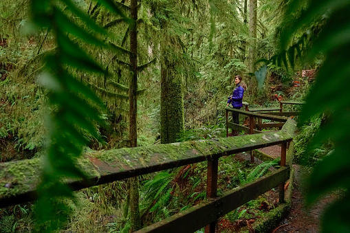 close up dof: scenic shot of a young female photographer searching for inspiration by looking around the lush rainforest on the olympic peninsula. caucasian girl exploring the sights of hoh rainforest