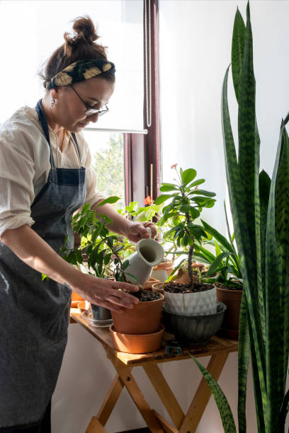 istock Woman watering flower 1221001978