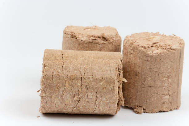istock Three wooden briquettes Firewood 1221002464