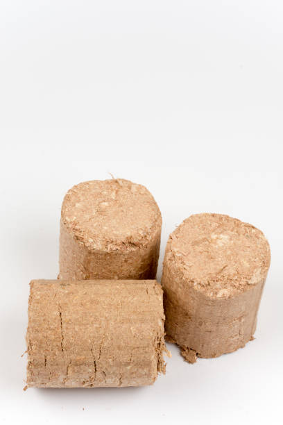 istock Wooden briquettes over white background 1221003169