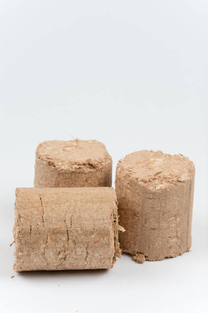 istock Three wooden briquettes Firewood 1221003239