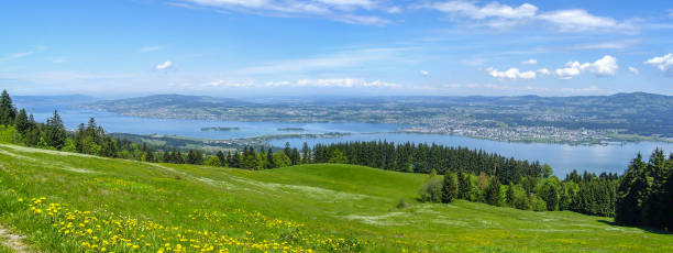 istock Panorama Lake Constance with Zurich and Mountain Meadow 1221003554