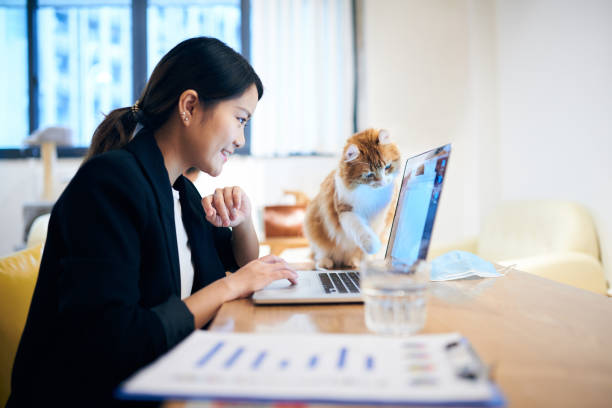 jeune femme asiatique travaillant sur un ordinateur portatif tandis que le chat vient regarder curieusement - pets table animal cheerful photos et images de collection