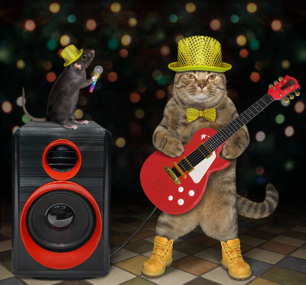 istock Cat with red guitar at party 2 1221003790