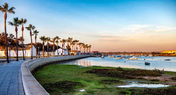 Panoramic view of old Sancti Petri fishing harbor in Chiclana de la Frontera, Spain, at sunset. Beautiful sunset view of old Sancti Petri fishing harbor in Chiclana de la Frontera, southern Spain, with its palm tree lined promenade and boats anchored on calm waters. fishing village photos stock pictures, royalty-free photos & images