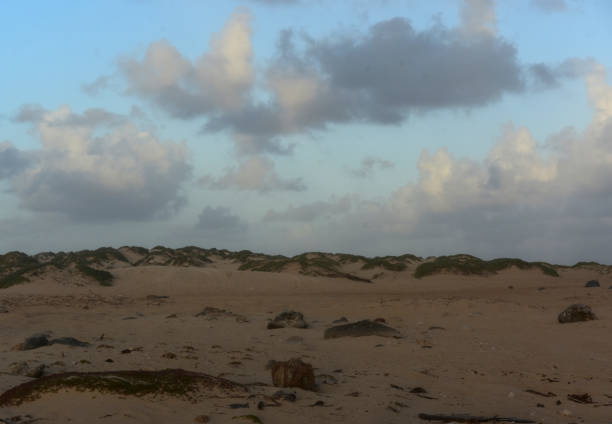 istock Stunning Aruba Seascape with Raw Beauty 1221004984