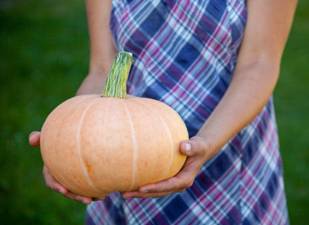 istock Woman holding a big pumpkin. 1221006862